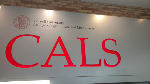 Ice Cream Shop «Cornell Dairy Bar», reviews and photos, 411 Tower Rd, Ithaca, NY 14853, USA