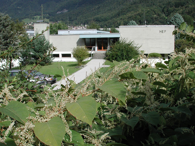 Kommentare und Rezensionen über Haute Ecole Pédagogique du Valais - HEPVS