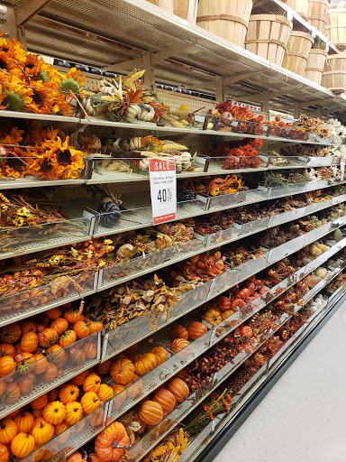 Craft Store «Hobby Lobby», reviews and photos, 14286 Beach Blvd #1, Jacksonville Beach, FL 32250, USA