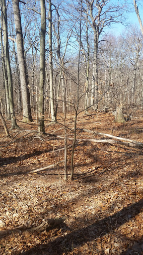 Country Club «Meadow Brook Club», reviews and photos, Cedar Swamp Rd, Jericho, NY 11753, USA