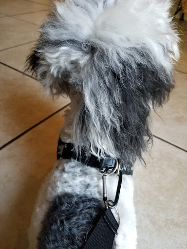 Pet Supply Store «Petco Animal Supplies», reviews and photos, 2565 NE 10th Ct, Homestead, FL 33035, USA