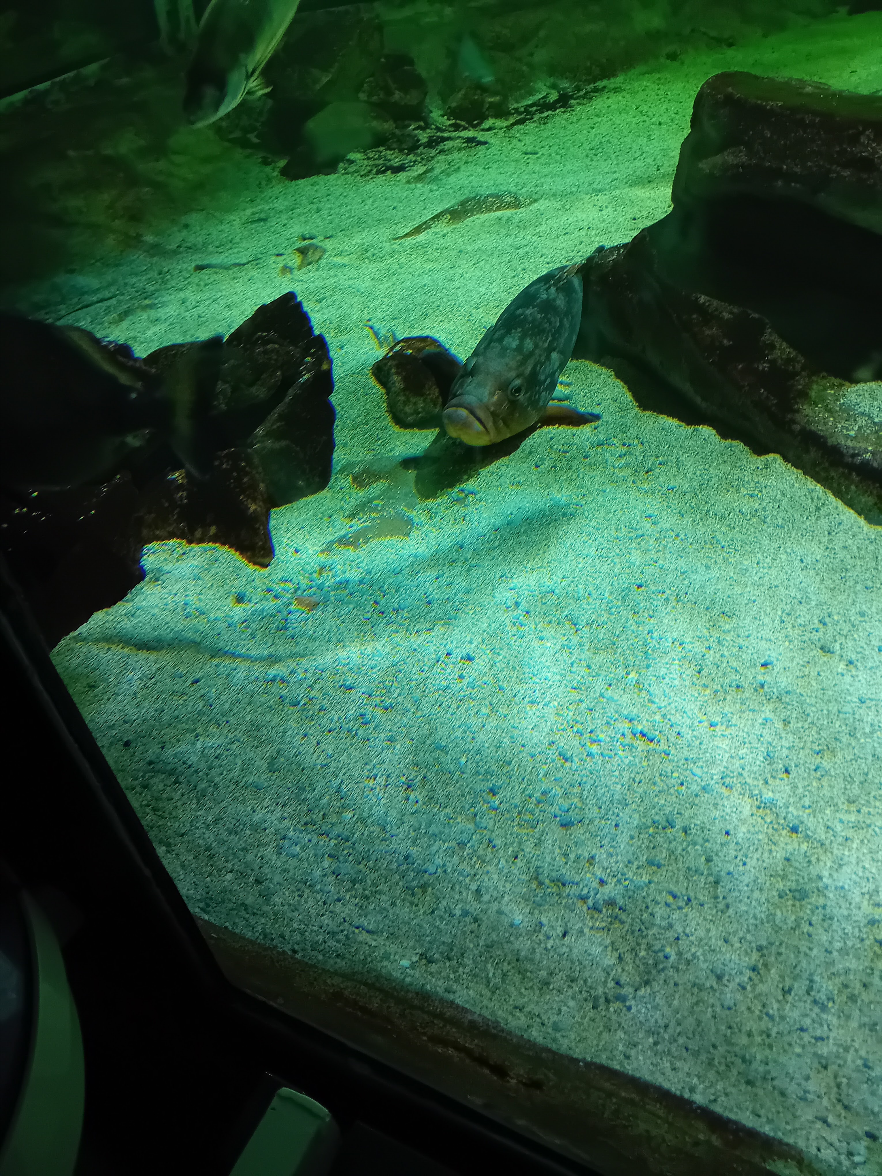 Photo n° 7 de l'avis de Julie.L fait le 06/01/2024 à 09:09