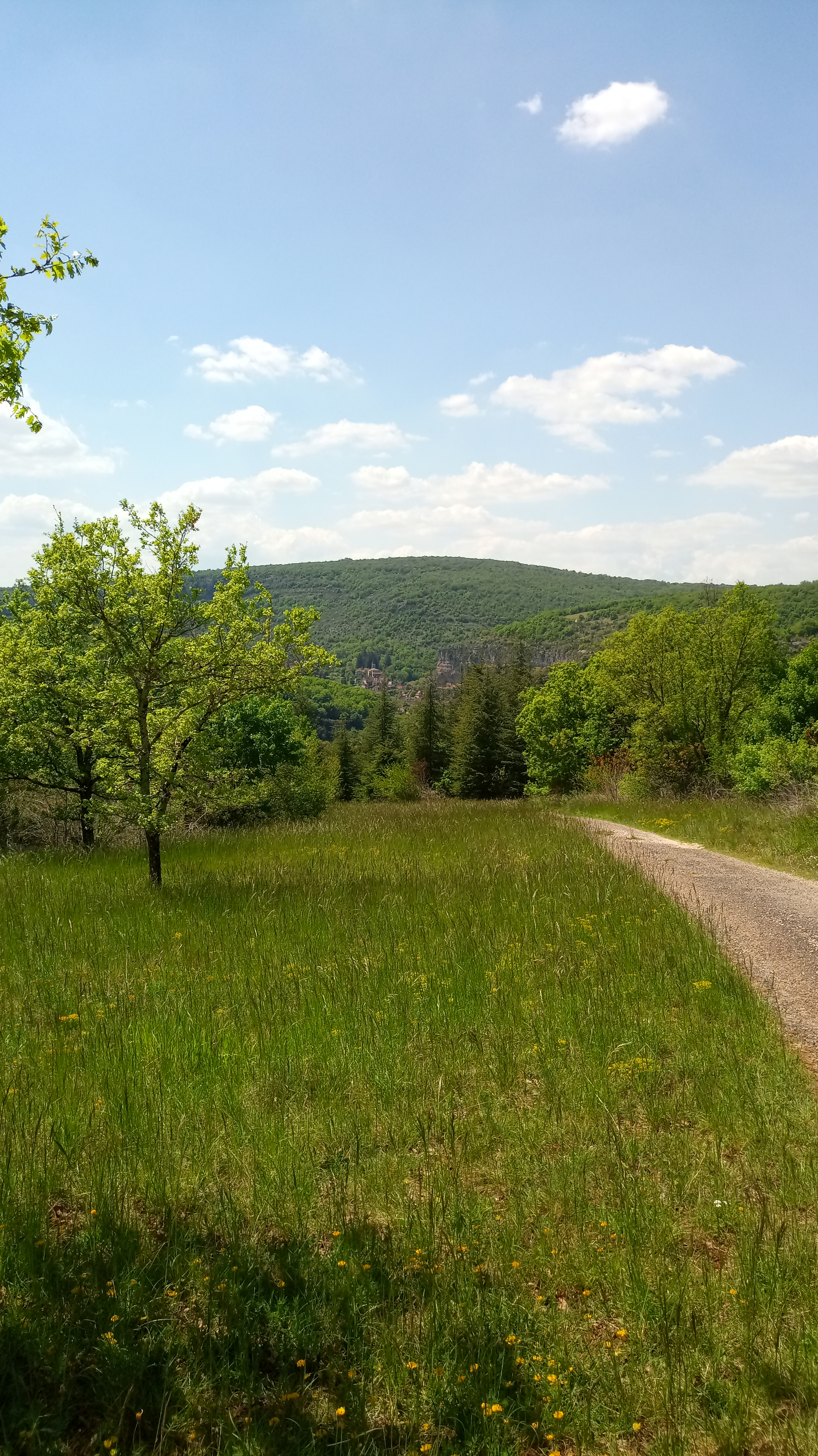 Photo n° 32 de l'avis de jean-françois.4 fait le 01/05/2022 à 15:48