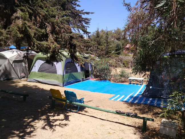Opiniones de Camping el Oasis en Coquimbo - Camping