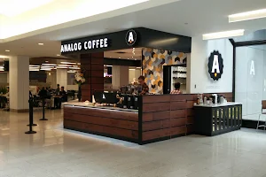 Analog Coffee Bow Valley Square image