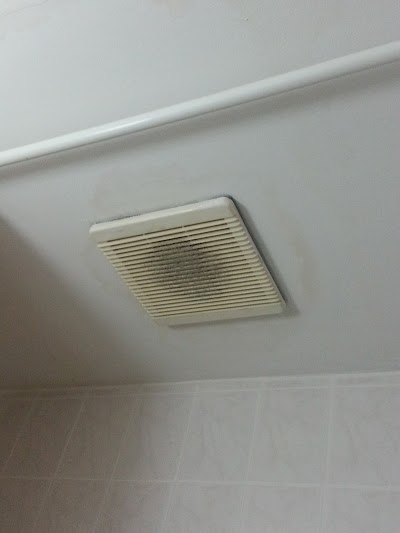 Photos of Hotel Carina