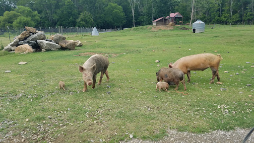 Farm «Pettit Creek Farms», reviews and photos, 337 Cassville Rd, Cartersville, GA 30120, USA