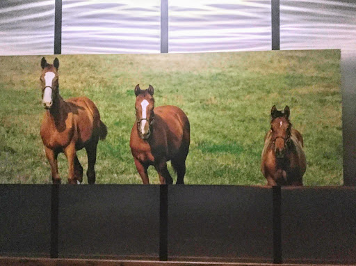 Museum «Kentucky Derby Museum», reviews and photos, 704 Central Ave, Louisville, KY 40208, USA