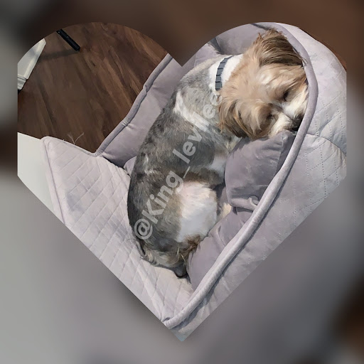 Pet Supply Store «PetSmart», reviews and photos, 14137 Rivergate Pkwy, Charlotte, NC 28273, USA