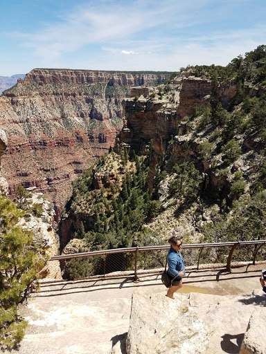 Airport «Grand Canyon National Park Airport», reviews and photos