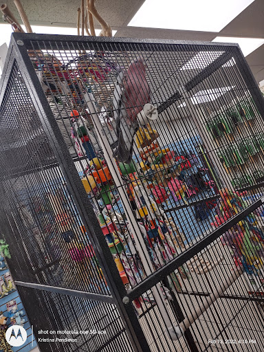 Pet Store «Fins Feathers Paws & Claws», reviews and photos, 436 Main St, Harleysville, PA 19438, USA