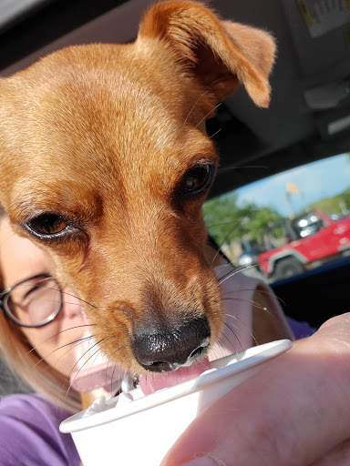 Coffee Shop «Starbucks», reviews and photos, 9150 Calumet Ave, Munster, IN 46321, USA