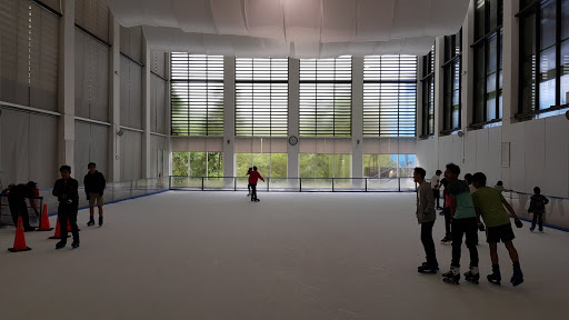 The Royale Ice Skating Rink