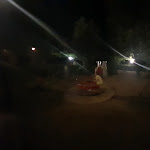 Photo n°5 de l'avis de S. fait le 19/08/2023 à 10:44 sur le  Ristorante Corno Rosso à Baschi