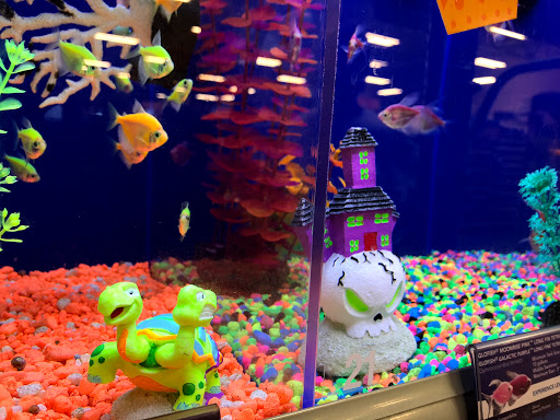 Pet Supply Store «PetSmart», reviews and photos, 3093 E Main St, Russellville, AR 72802, USA