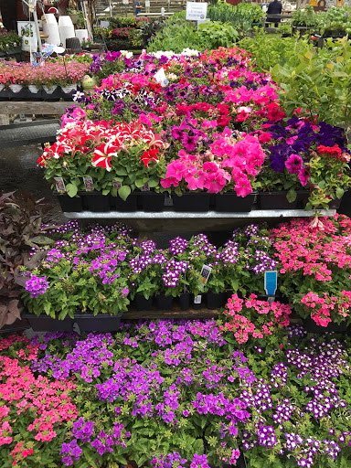 Farm «Alstede Farms», reviews and photos, 1 Alstede Farms Ln, Chester, NJ 07930, USA