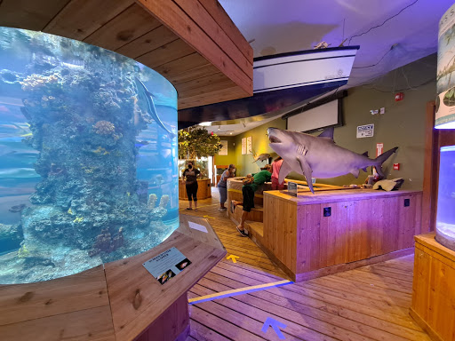 Aquarium «The River Center», reviews and photos, 805 US-1, Jupiter, FL 33477, USA