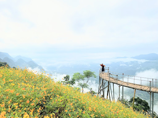 Top 20 cửa hàng ainosofia Huyện Mai Châu Hòa Bình 2022