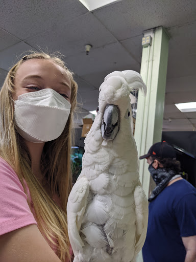 Pet Store «Pet Kingdom», reviews and photos, 3191 Sports Arena Blvd, San Diego, CA 92110, USA