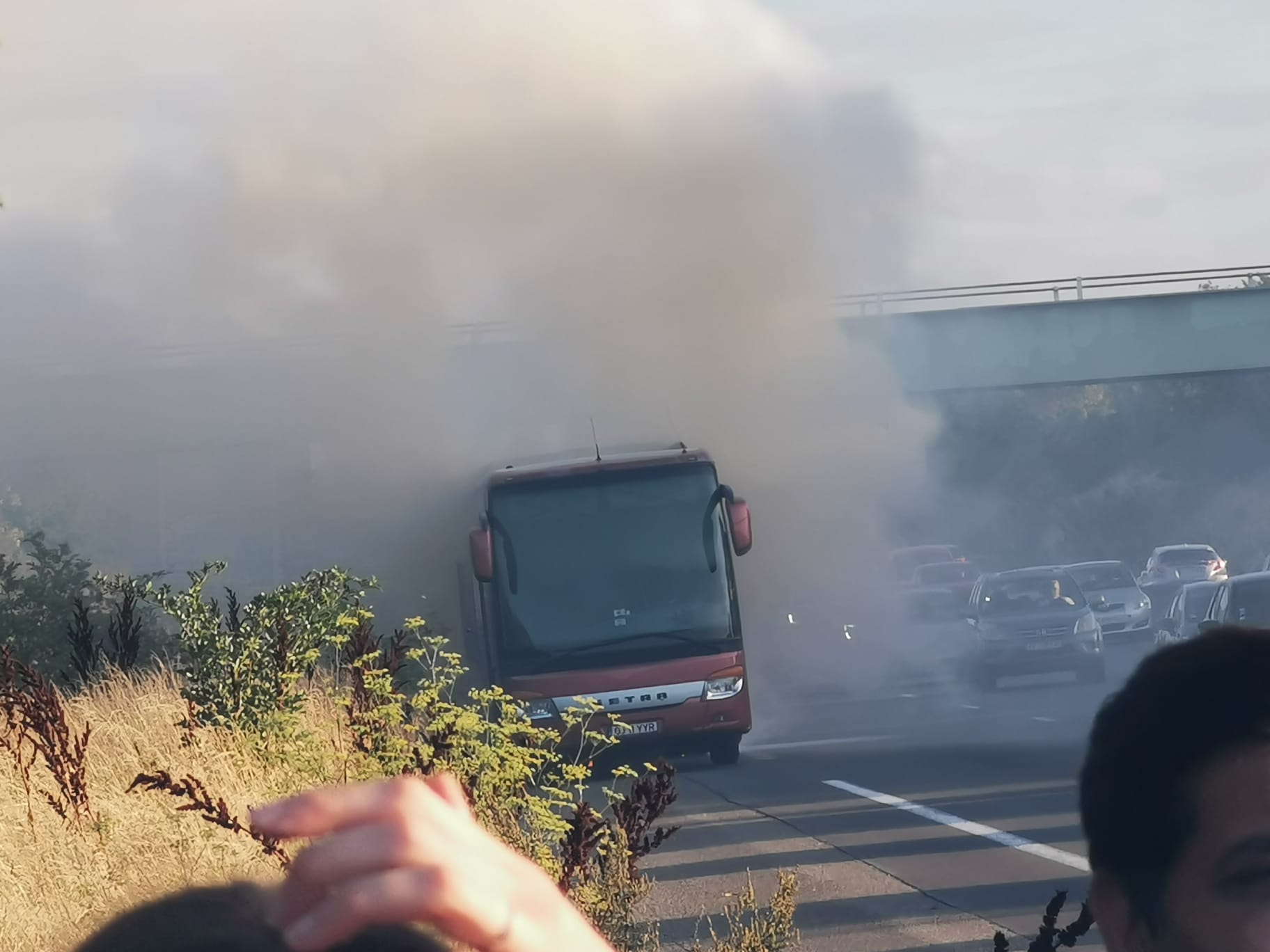 Photo n° 2 de l'avis de sofiane.e fait le 26/08/2023 à 21:33