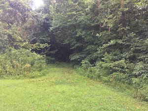 Bigleaf Slopes Park - photo 51