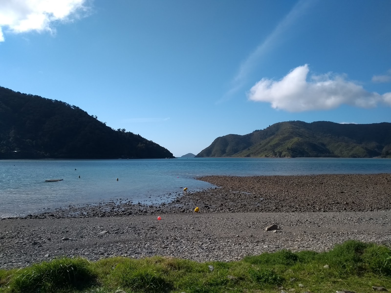 Foto di Okiwi Bay Beach sorretto da scogliere