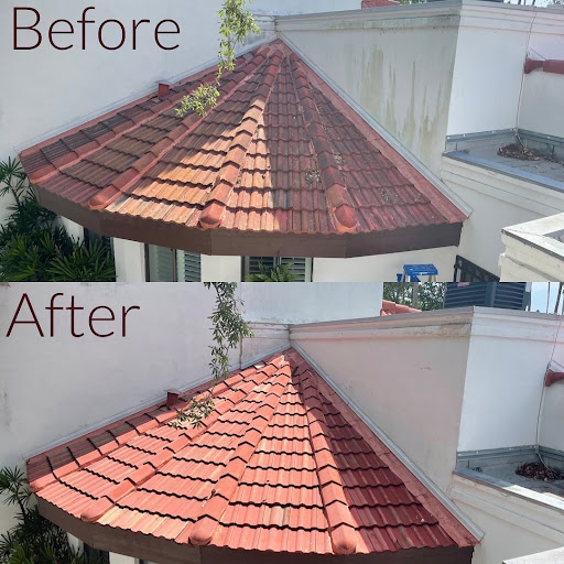RGV Roof Cleaning