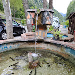 Photo n°2 de l'avis de Simone.a fait le 27/08/2022 à 00:00 sur le  La Sorgente 3 Sas Di Francesca Gioia & C. à Parruta