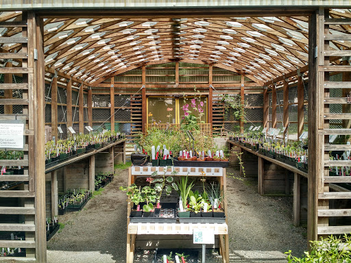 Jardin vertical Seattle