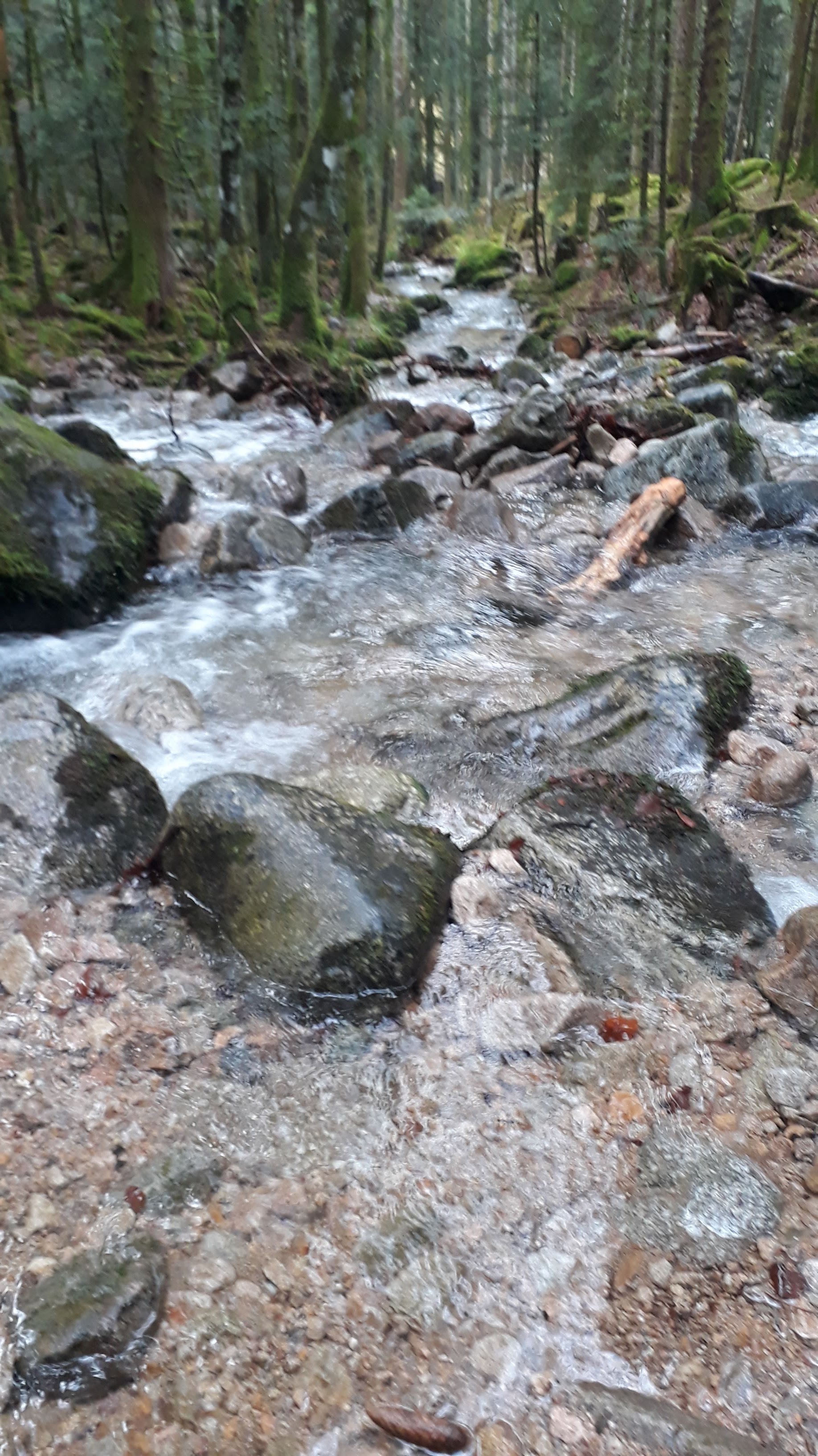 Photo n° 4 de l'avis de David. fait le 10/01/2019 à 11:41