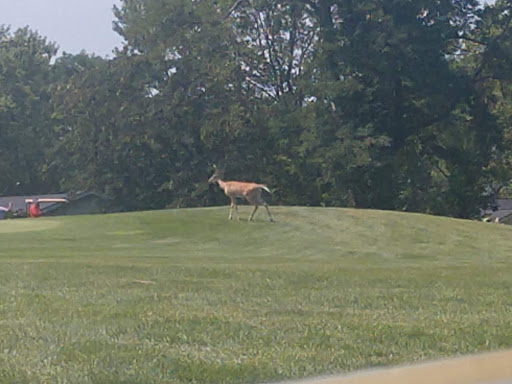 Public Golf Course «Longview Golf Course», reviews and photos, 3243 Frankfort Pike, Georgetown, KY 40324, USA