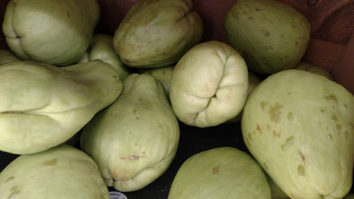 Grocery Store «Food Lion», reviews and photos, 7013 Lankford Hwy, Oak Hall, VA 23416, USA