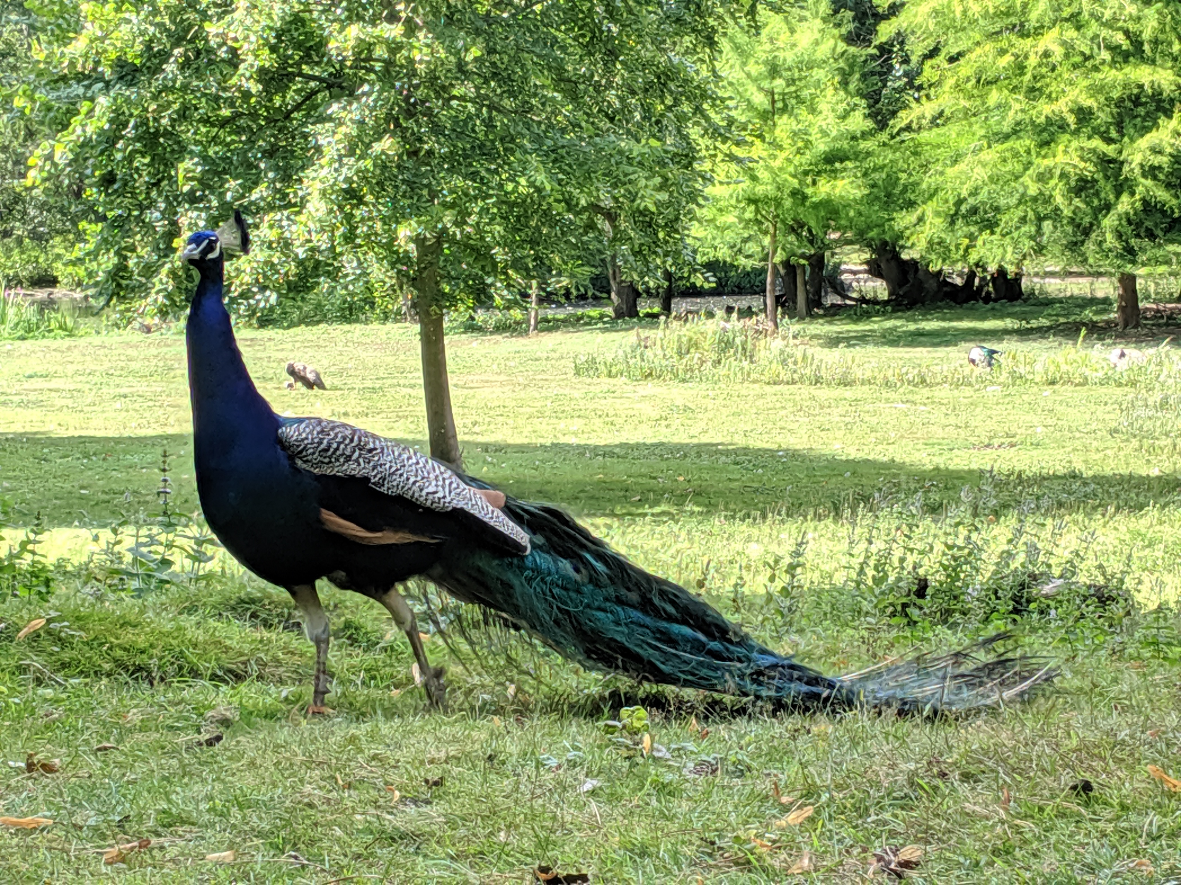 Photo n° 13 de l'avis de Mickael.a fait le 20/08/2019 à 04:46