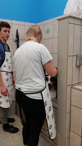 Pet Supply Store «Pet Supplies Plus», reviews and photos, 3984 Seneca St, West Seneca, NY 14224, USA