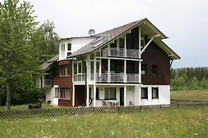 Haus "Seewiese", Titisee image