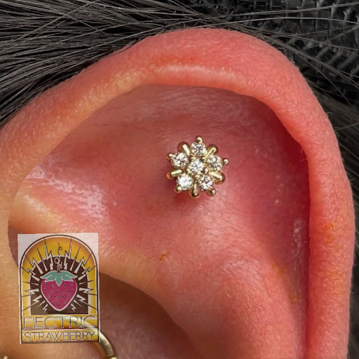 Explore tattoo ideas palm trees, creative tattoo ideas in Saint Paul, available at Electric Strawberry Piercing