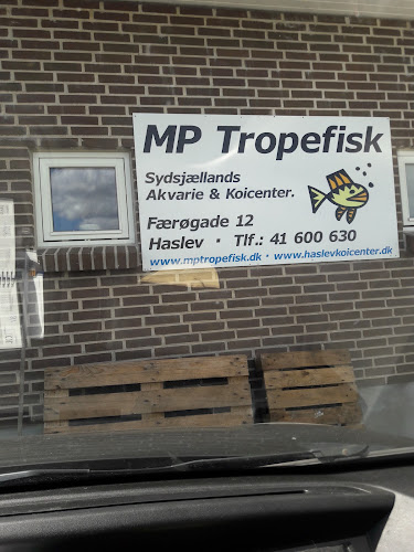 MPtropefisk - Museum