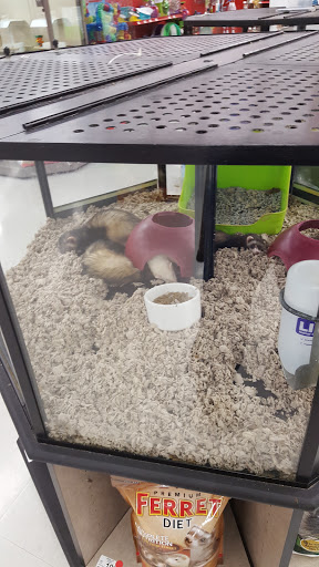 Pet Supply Store «Petco Animal Supplies», reviews and photos, 1540 Eastern Blvd, Montgomery, AL 36117, USA