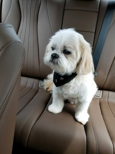 4 Cottontail Rd, New Fairfield, CT 06812, USA