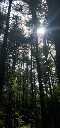 Zoo «Bailiwick Animal Park and Riding Stables», reviews and photos, 118 Castle Rd, Catskill, NY 12414, USA