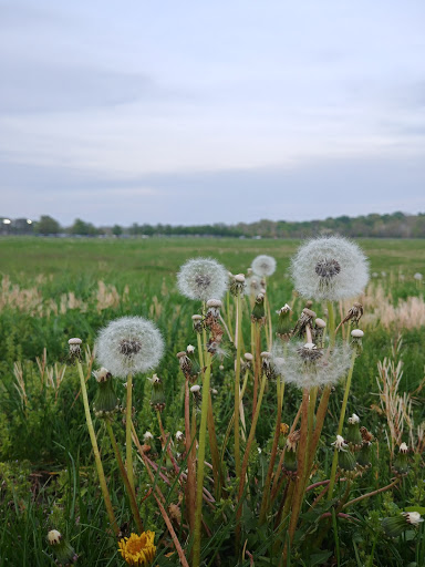 Park «Heritage Oak Park», reviews and photos, 4601 US-42, Mason, OH 45040, USA