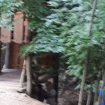 Photo n°1 de l'avis de G. fait le 12/08/2018 à 06:31 sur le  Berggasthof Butterberg à Bischofswerda