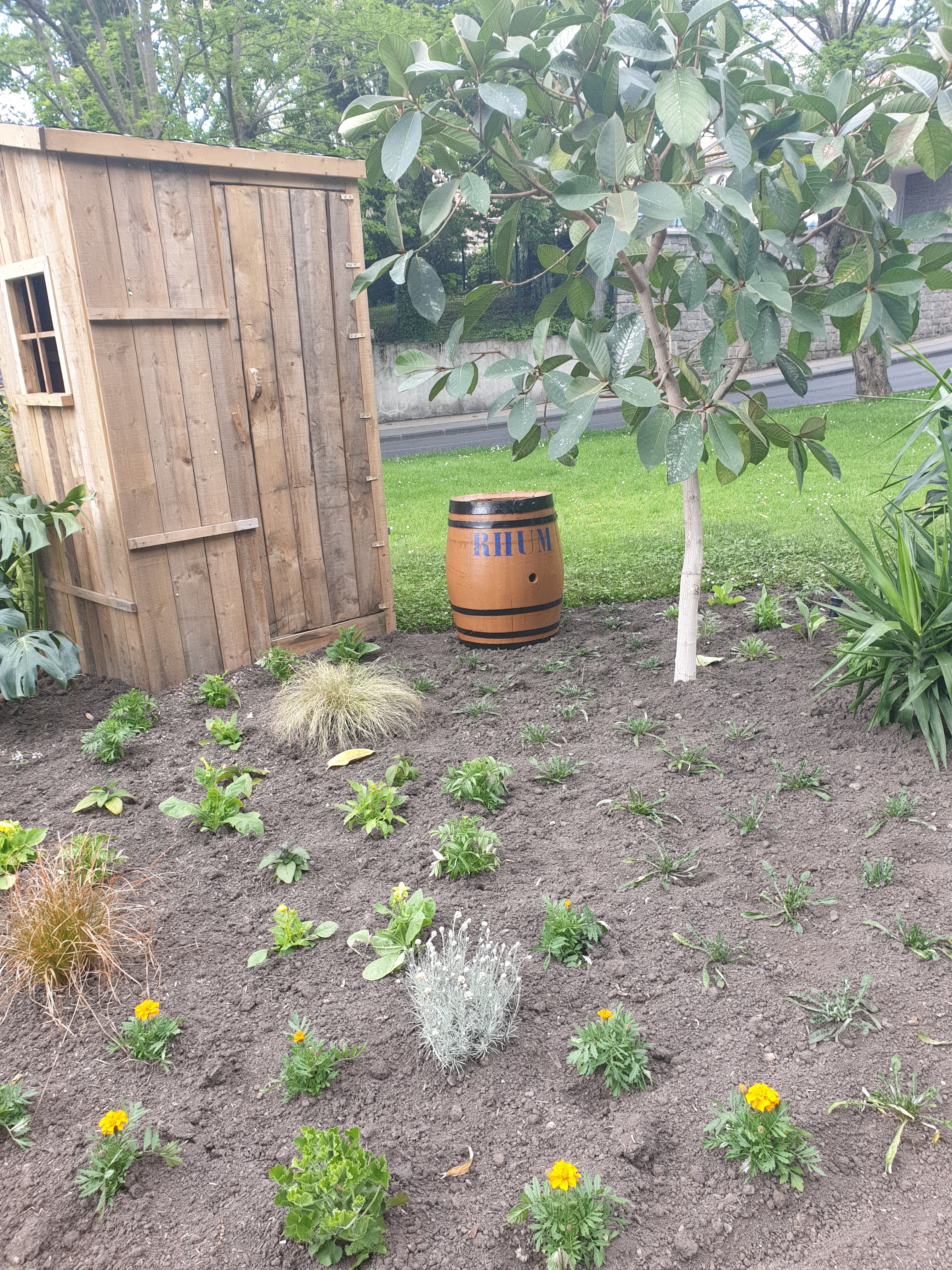 Photo n° 1 de l'avis de Fabilou.l fait le 12/01/2020 à 14:27