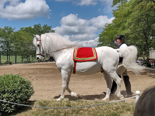 Tourist Attraction «The Tempel Lipizzans», reviews and photos, 17000 W Wadsworth Rd, Old Mill Creek, IL 60083, USA