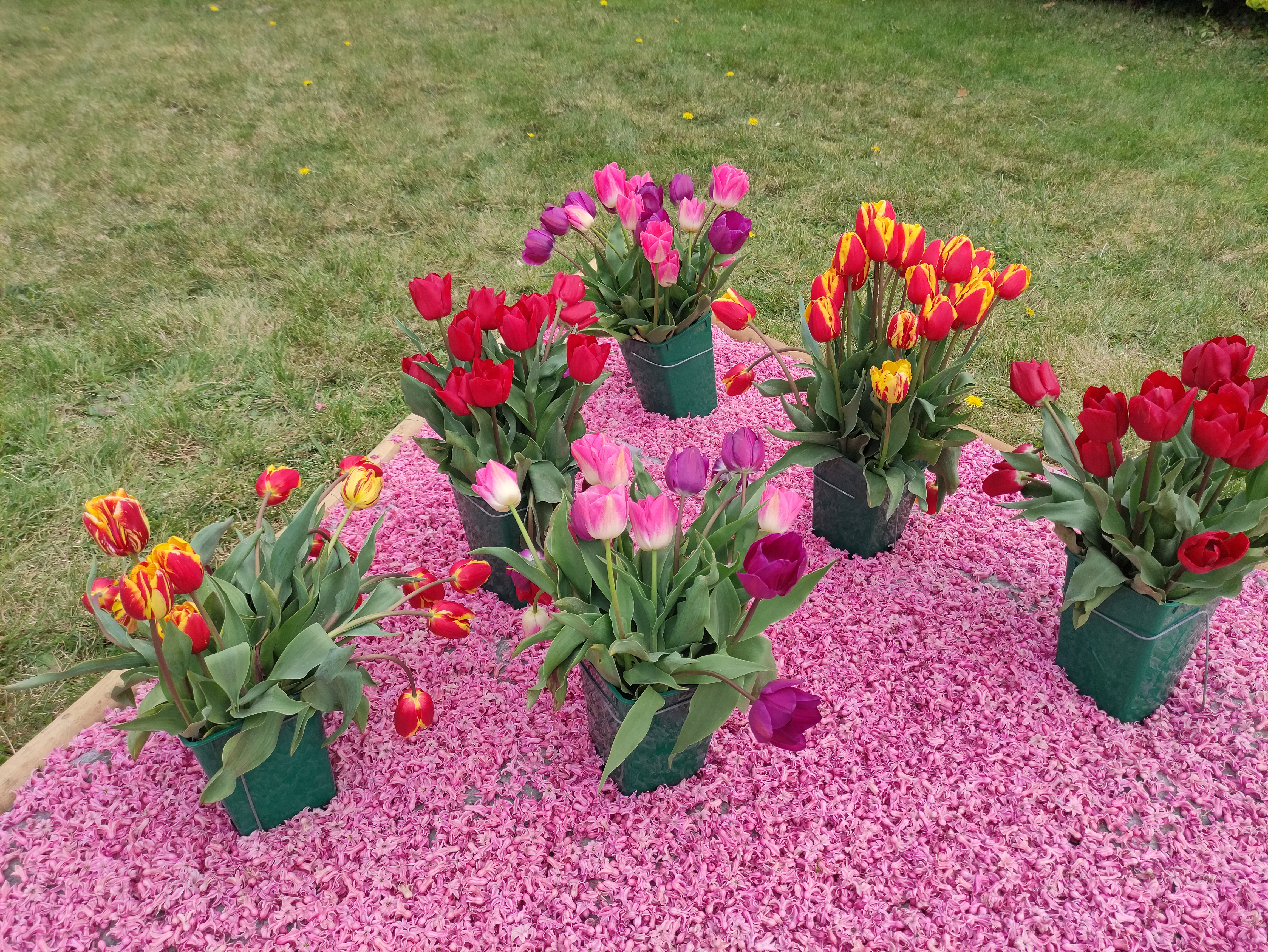 Photo n° 5 de l'avis de Ky29. fait le 26/03/2021 à 12:18