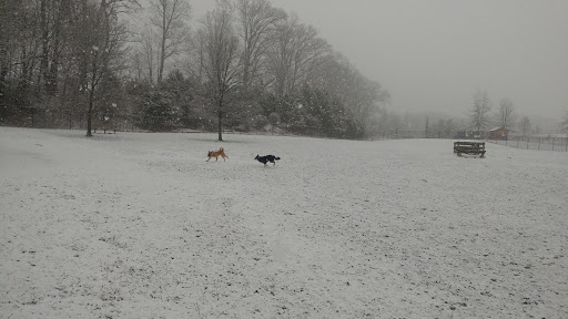 Dog Park «Worthington Off Leash Dog Park», reviews and photos, 8170 Hillsborough Rd, Ellicott City, MD 21043, USA