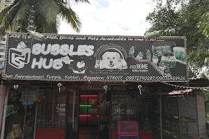 Bubbels hub image
