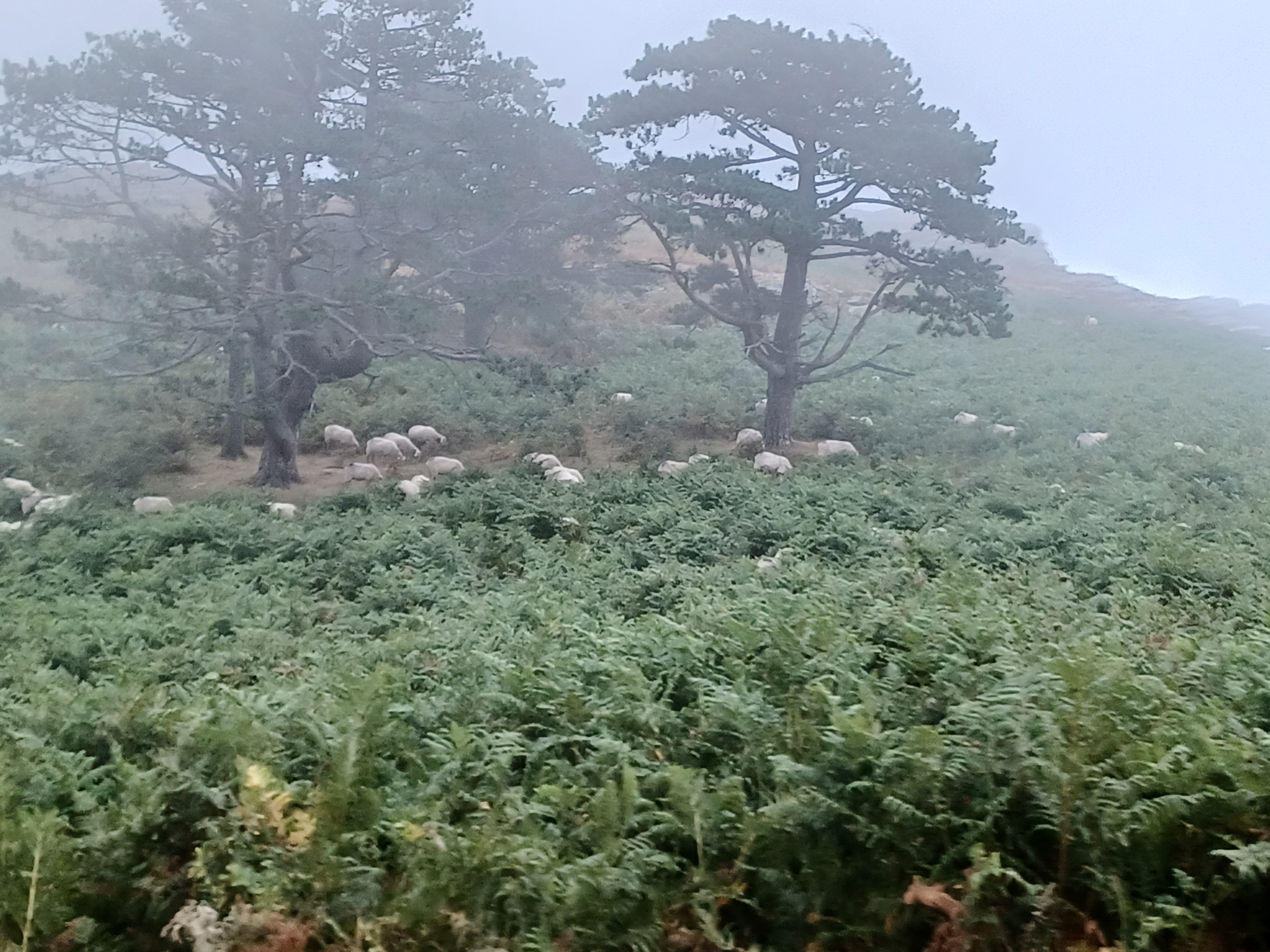 Photo n° 5 de l'avis de Sarah.o fait le 20/08/2022 à 15:21