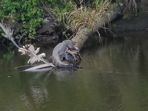 Boat Tour Agency «River Lilly Cruises», reviews and photos, 500 E Prima Vista Blvd, Port St Lucie, FL 34983, USA