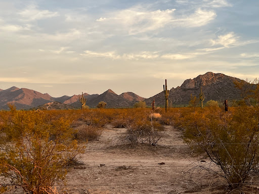 Home Builder «Sun City Festival by Del Webb», reviews and photos